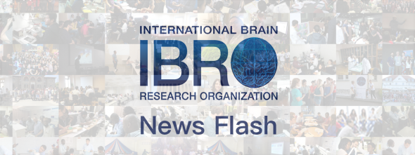 IBRO News Flash – September