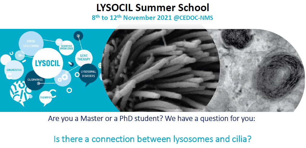 LYSOCIL Summer School on Lysosomes and Cilia (8 to 12 November 2021): registration and poster