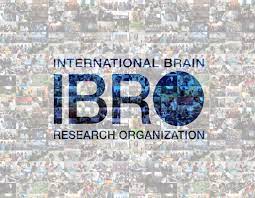 7th International Brain Research School, 27 June and 3 July 2022, Isparta, TURKEY