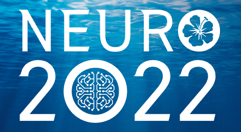 DEADLINE EXTENDED to Dec 13: About Travel Award of NEURO2022, Okinawa, Japan