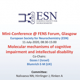 ESN mini-conference